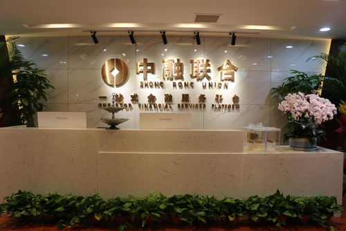 西安中融聯(lián)合商務信息咨詢